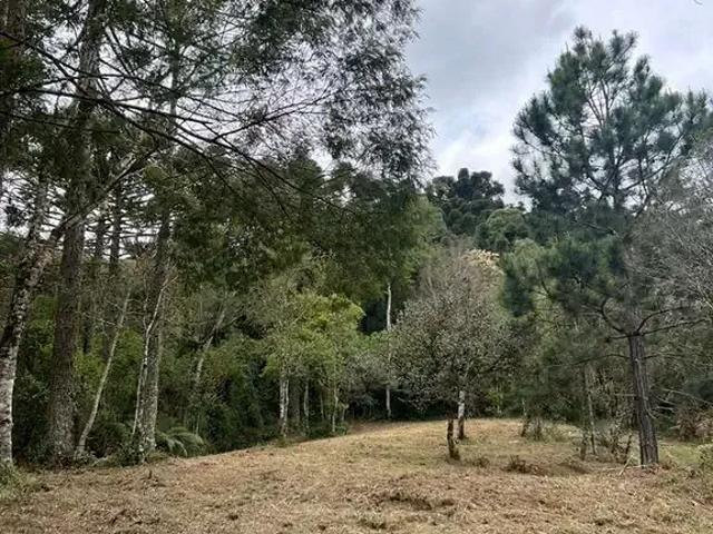 Terreno venda em Região Geográfica Imediata de Lages, Urubici