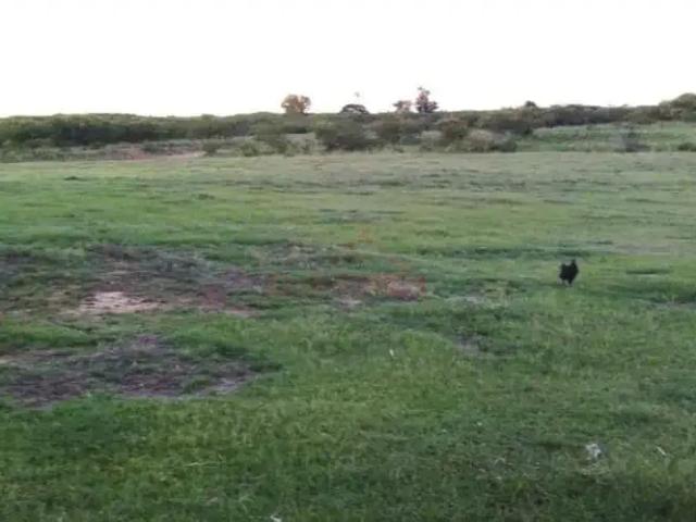 Terreno venda em Região Geográfica Imediata de Uruguaiana, Uruguaiana