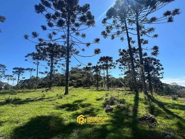 Terreno venda em Região Geográfica Imediata de Lages, Urupema