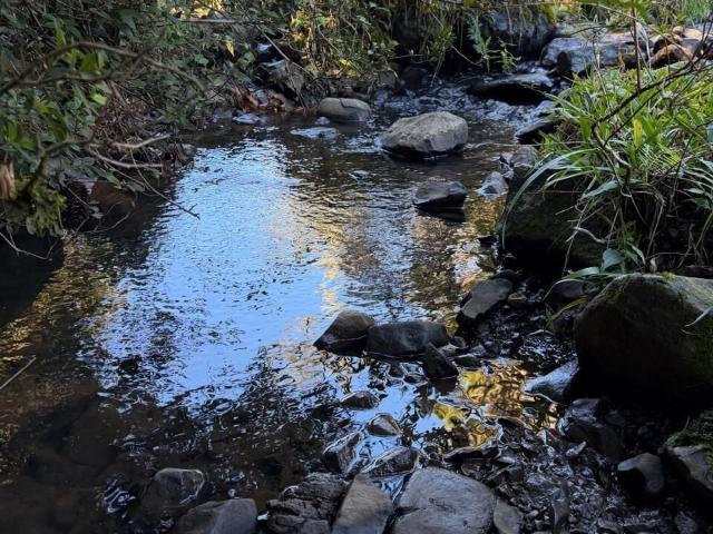 Terreno venda em Urupema, Região Geográfica Intermediária de Lages