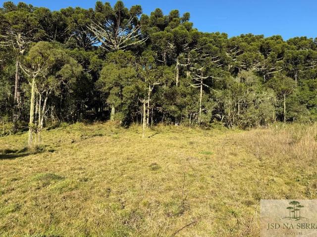 Terreno venda em Urupema, Região Geográfica Intermediária de Lages