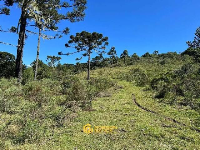 Terreno venda em Região Geográfica Imediata de Brusque, Brusque