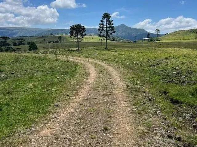 Terreno venda em Região Geográfica Imediata de Lages, Urupema