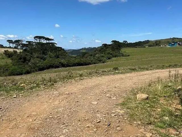 Terreno venda em Região Geográfica Imediata de Araranguá, Araranguá