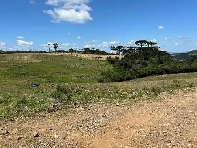 Terreno venda em Região Geográfica Imediata de Araranguá, Araranguá