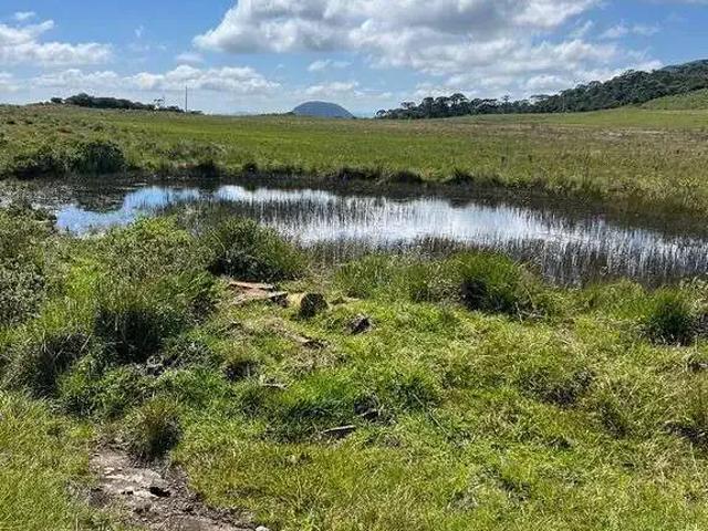 Terreno venda em Região Geográfica Imediata de Lages, Urupema