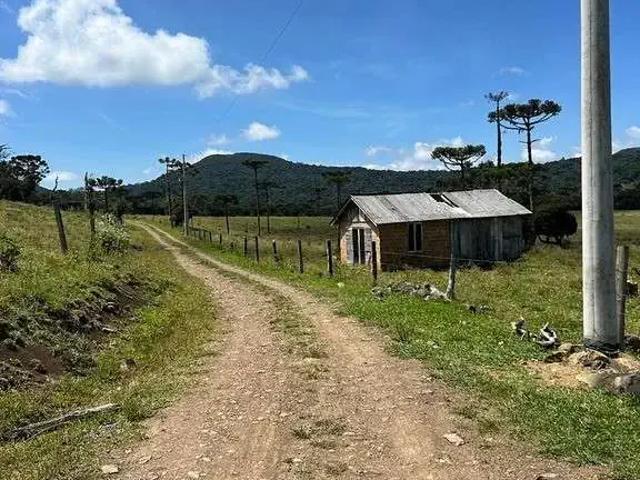 Terreno venda em Região Geográfica Imediata de Lages, Urupema