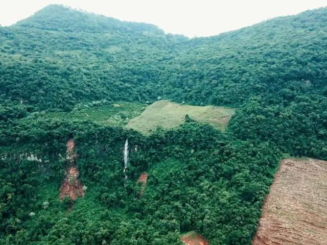 Terreno venda em Região Geográfica Imediata de Caxias do Sul, Vale Real