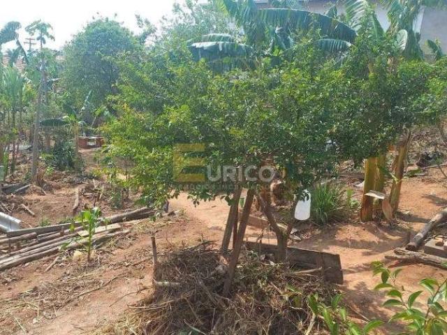 Terreno venda em Jardim Centenário, Valinhos