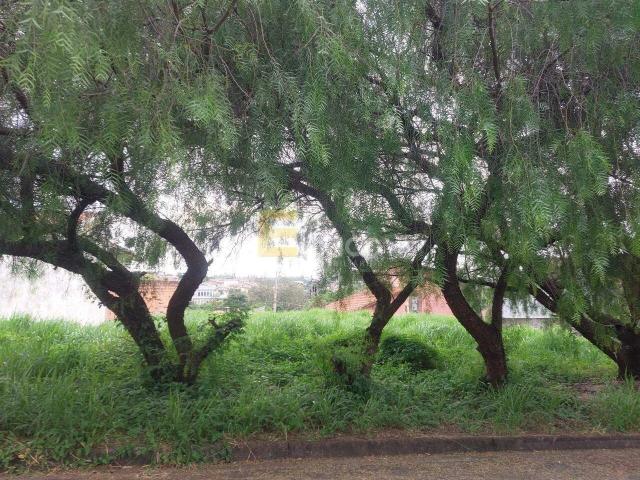 Terreno venda em Jardim Maria Ilydia, Valinhos