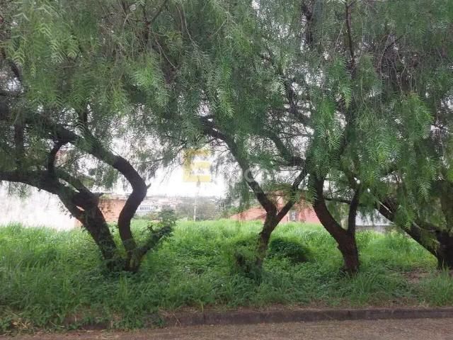 Terreno venda em Região Imediata de Campinas, Região Metropolitana de Campinas