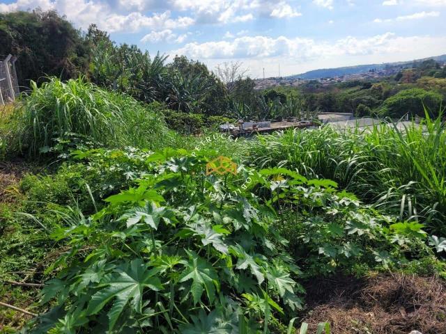Terreno venda em Jardim Maria Ilydia, Valinhos