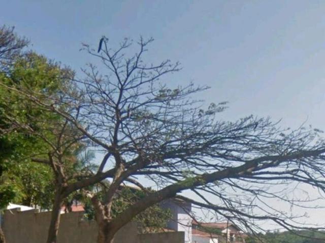 Terreno venda em Jardim Alto da Colina, Valinhos
