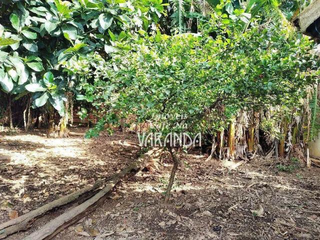 Terreno venda em Parque Monte Verde, Valinhos