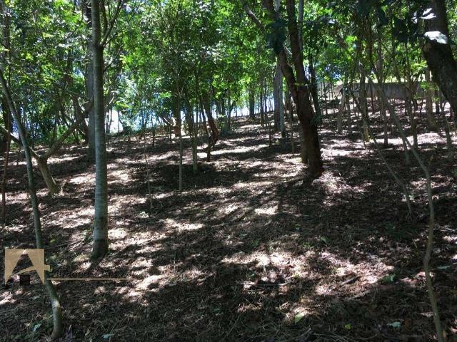 Terreno venda em Região Imediata de Bragança Paulista, Vargem