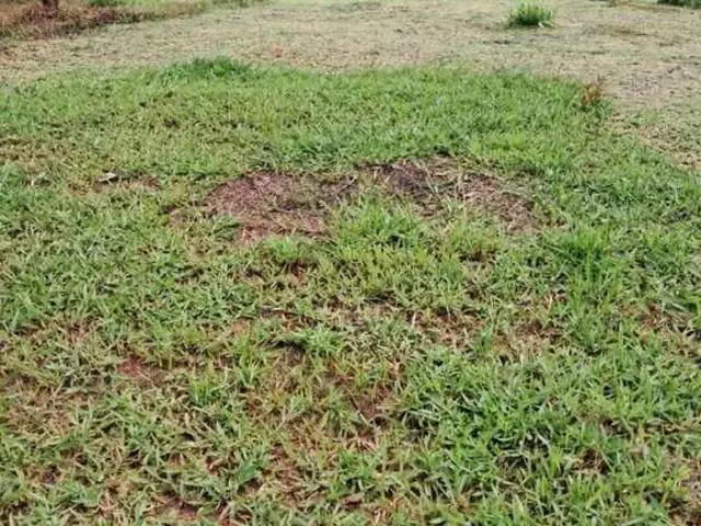 Terreno venda em Região Imediata de Jundiaí, Várzea Paulista