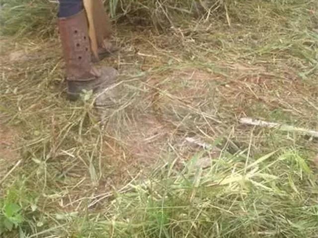 Terreno venda em Região Imediata de Jundiaí, Várzea Paulista