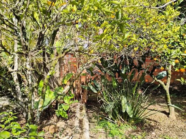 Terreno venda em Região Geográfica Imediata de Goiás - Itapuranga, Nova Crixás