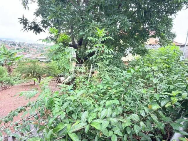 Terreno venda em Região Geográfica Imediata de Belo Horizonte, Região Metropolitana de Belo Horizonte