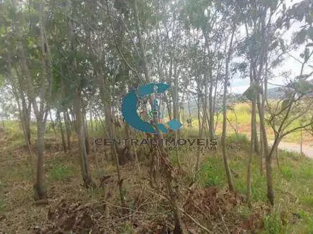 Terreno venda em Vespasiano, Grão-Pará