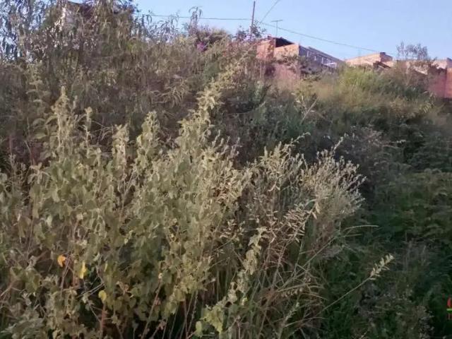 Terreno venda em Região Geográfica Imediata de Belo Horizonte, Região Metropolitana de Belo Horizonte