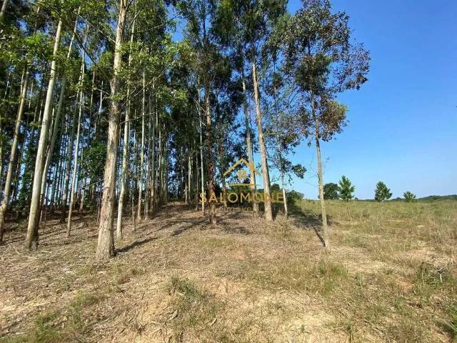 Terreno venda em Região Geográfica Imediata de Porto Alegre, Região Metropolitana de Porto Alegre
