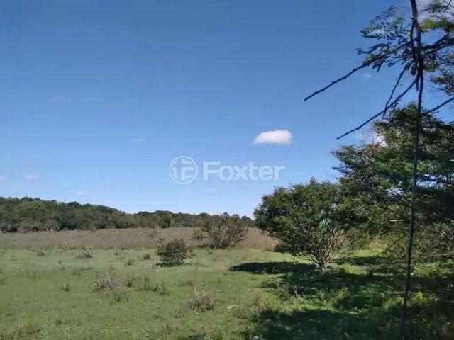 Terreno venda em Região Geográfica Imediata de Porto Alegre, Região Metropolitana de Porto Alegre