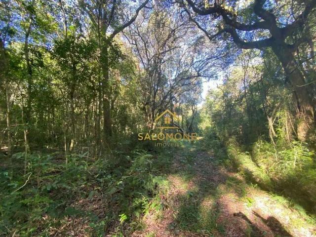 Terreno venda em Região Geográfica Imediata de Porto Alegre, Região Metropolitana de Porto Alegre