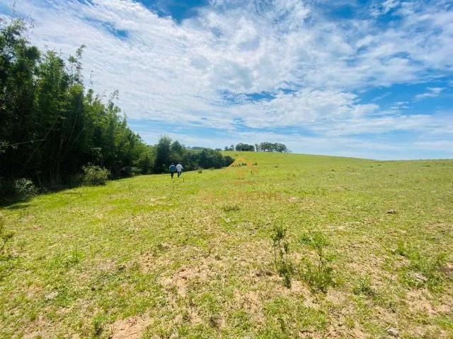 Terreno venda em Águas Claras, Viamão