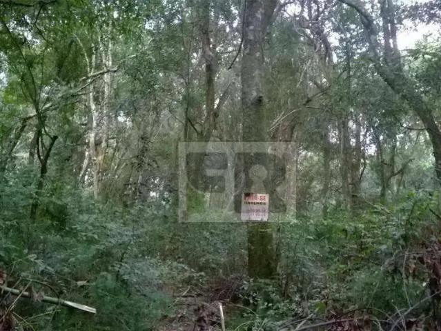 Terreno venda em Rancho Alegre e Feliz, Viamão