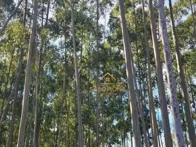 Terreno venda em Águas Claras, Viamão