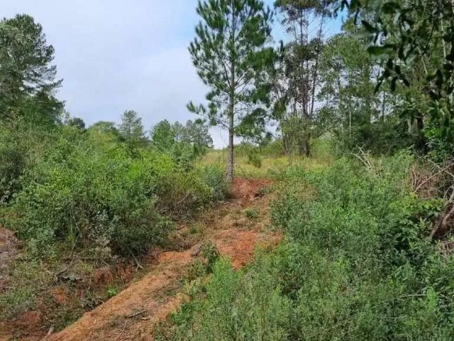 Terreno venda em Região Geográfica Imediata de Porto Alegre, Região Metropolitana de Porto Alegre