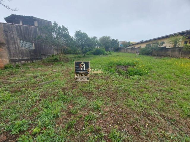Terreno venda em Dom Feliciano, Viamão