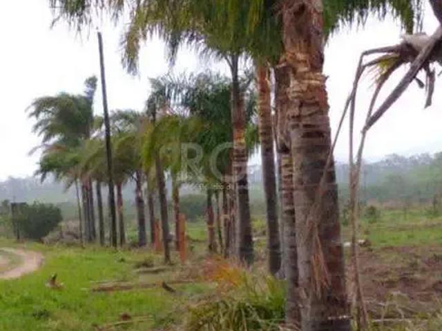 Terreno venda em Coxilhas de Ibiamon, Viamão