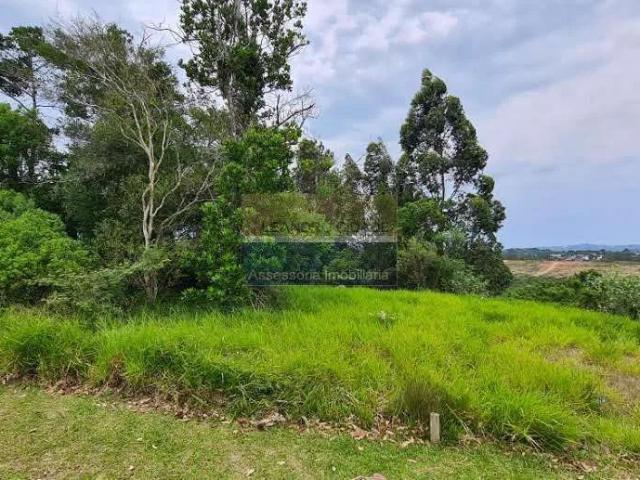 Terreno venda em Cachoeirinha