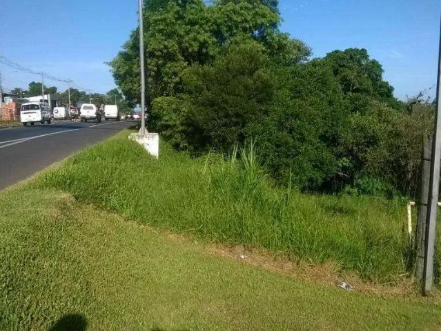 Terreno venda em Condado de Bragança, Viamão