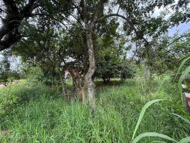 Terreno venda em Região Geográfica Imediata de Porto Alegre, Região Metropolitana de Porto Alegre