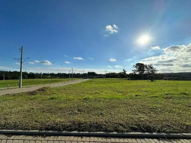 Terreno venda em Espigão, Viamão