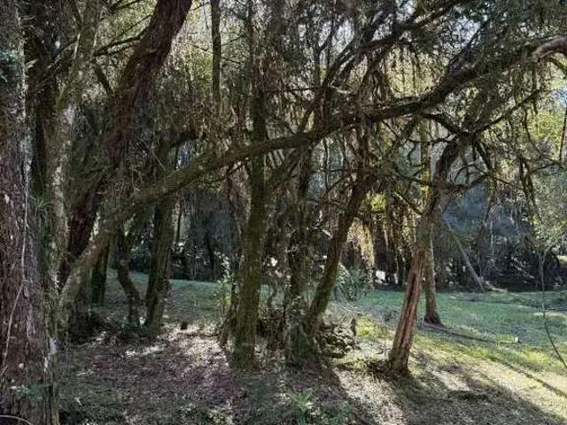 Terreno venda em Região Geográfica Imediata de Porto Alegre, Região Metropolitana de Porto Alegre
