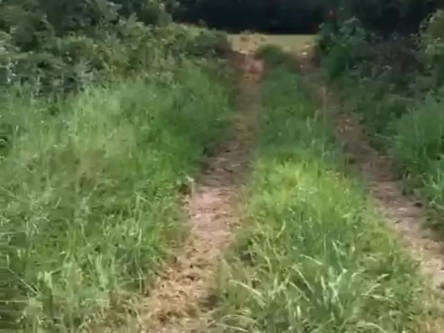 Terreno venda em Área Popular Kwait, Viamão