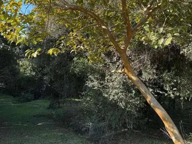 Terreno venda em Região Geográfica Imediata de Porto Alegre, Região Metropolitana de Porto Alegre