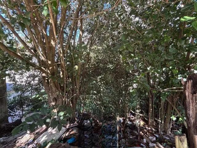 Terreno venda em Região Geográfica Imediata de Porto Alegre, Região Metropolitana de Porto Alegre