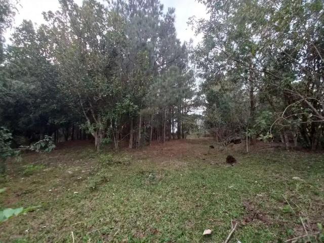 Terreno venda em Região Geográfica Imediata de Porto Alegre, Região Metropolitana de Porto Alegre