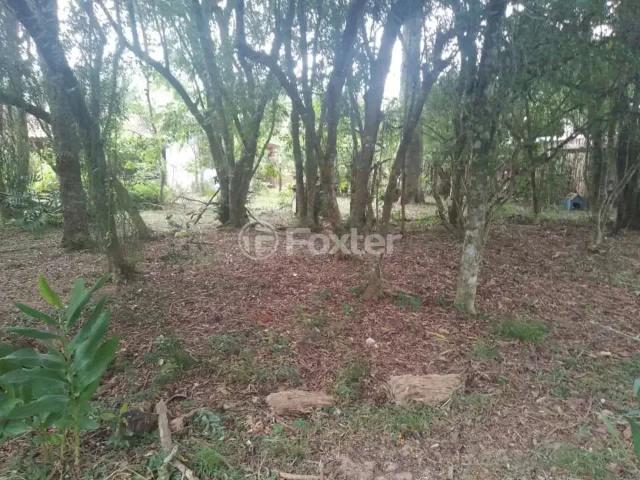 Terreno venda em Região Geográfica Imediata de Porto Alegre, Região Metropolitana de Porto Alegre