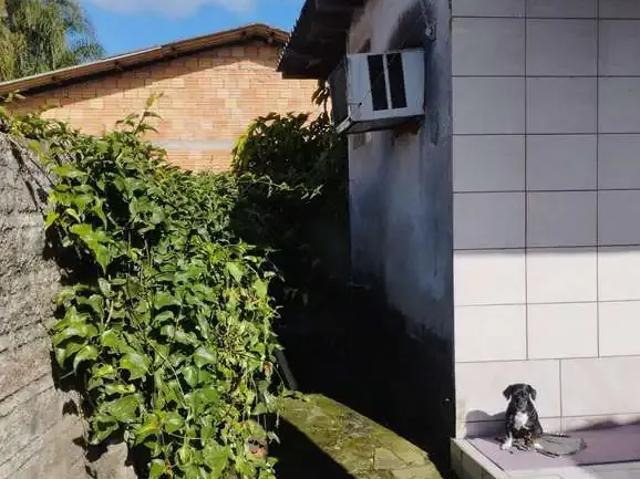 Terreno venda em Região Geográfica Imediata de Porto Alegre, Região Metropolitana de Porto Alegre