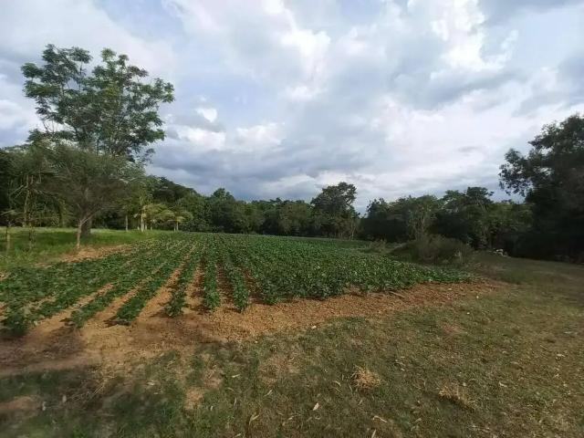 Terreno venda em Região Geográfica Imediata de Porto Alegre, Região Metropolitana de Porto Alegre