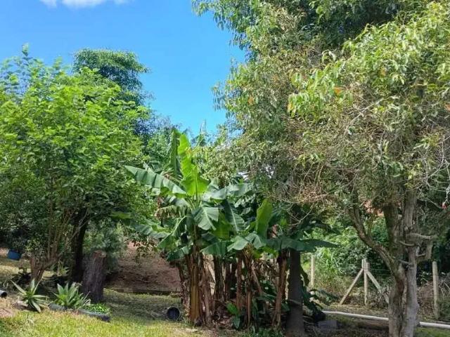 Terreno venda em Sede, Viamão