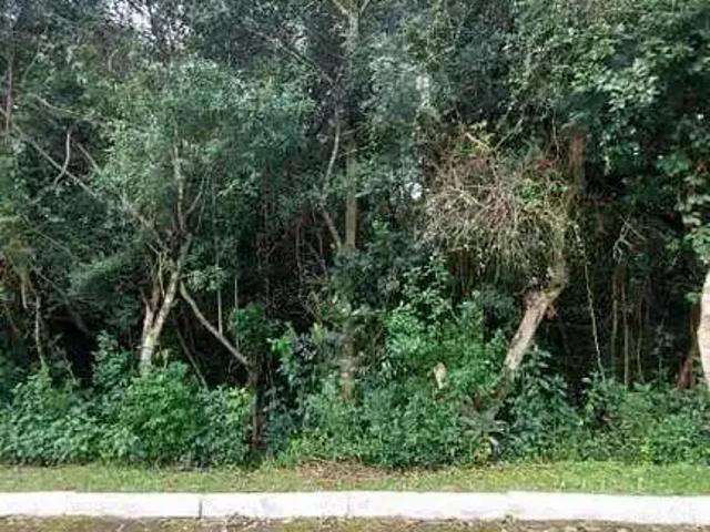 Terreno venda em Vila Parque São Cristóvão, Viamão