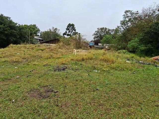 Terreno venda em Santa Rita, Viamão