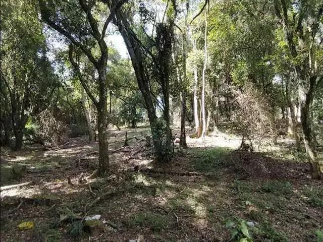 Terreno venda em Região Geográfica Imediata de Porto Alegre, Região Metropolitana de Porto Alegre